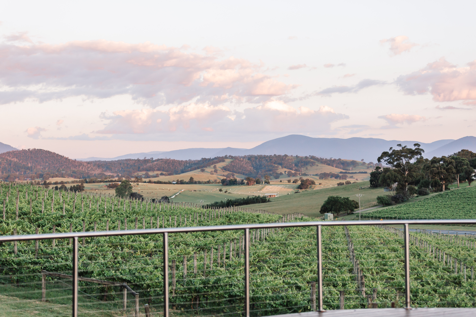 Winery Yarra Valley