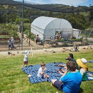 Things to do Yarra Valley