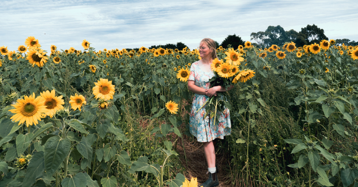 Dunnstown Sunflowers